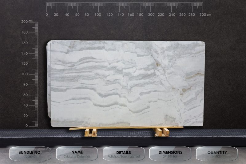 Calacatta Dolomite - 72009 1